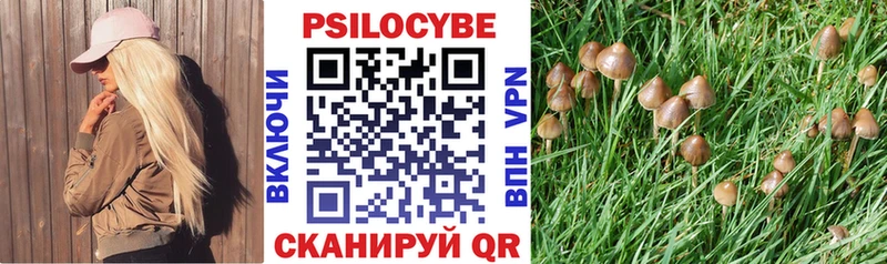 Галлюциногенные грибы Psilocybe  Артём 
